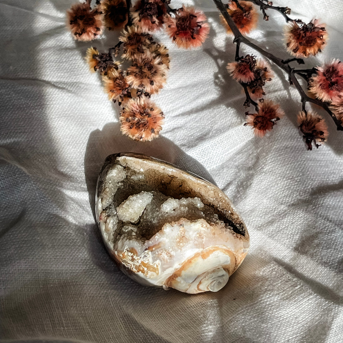 spiralite shell with druzy quartz 11
