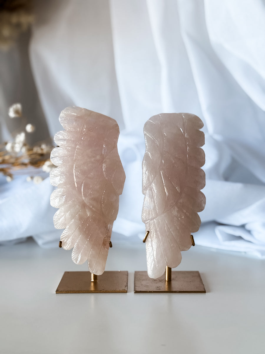 rose quartz wings 01