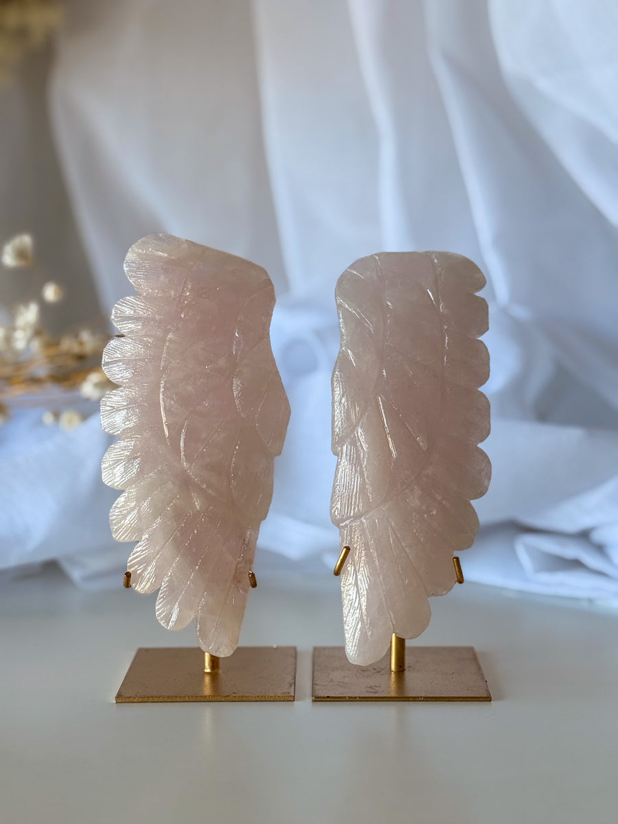 rose quartz wings 01